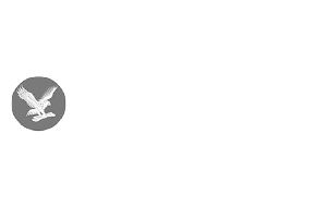 Independant arabi